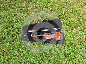 a brown violin and the bow on the green empire zoysia grass photo