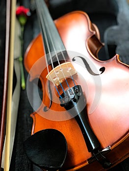 The brown violin is in the ciolin box photo