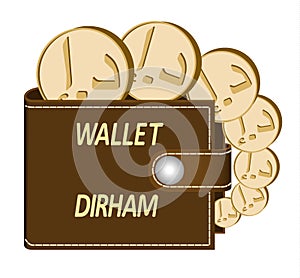 Brown wallet with dirham coins