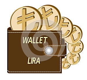 Brown wallet with lira coins