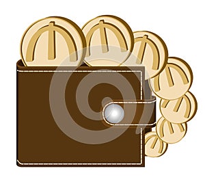 Brown wallet with manat coins