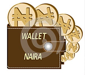 Brown wallet with naira coins