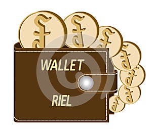 Brown wallet with riel coins