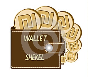 Brown wallet with shekel coins