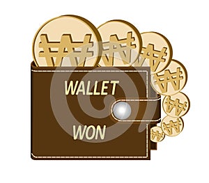 Brown wallet with won coins