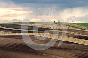 Brown waves of agricultural field with stormy clouds.