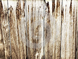 Brown, weathered and textured door