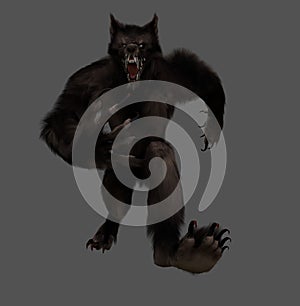 Brown Werewolf Isolated Image In A Gray Background