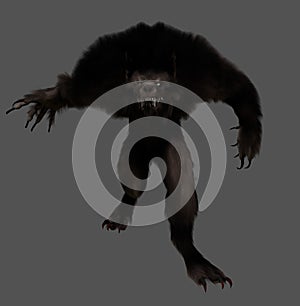 Brown Werewolf Isolated Image In A Gray Background