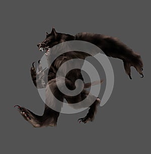 Brown Werewolf Isolated Image In A Gray Background