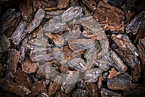 Brown wet bark of trees on the ground