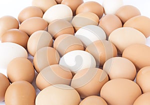 Brown and white chicken eggs.