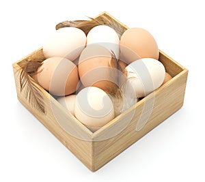 Brown and white chicken eggs, feathers.