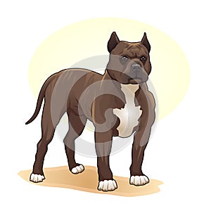 Brown and white coloured dog amazing vector illustration. Cute cartoon dogs vector puppy pet characters breads doggy illustration