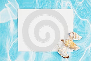 Brown and white conch seashells with a blank white greeting card