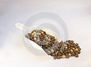 brown and white dried cat food on plastic scoop