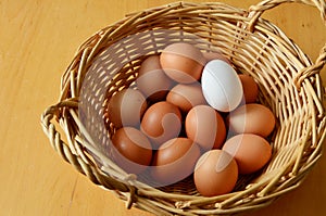 Brown and white eggs