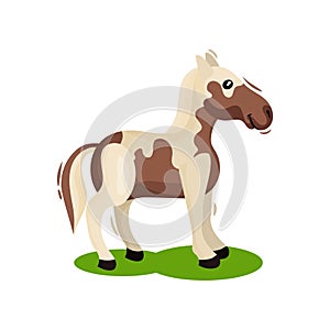 Brown-white horse standing on green grass, side view. Hoofed mammal animal. Wildlife theme. Flat vector design