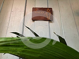 Brown women Toilet sign on the vintage white wooden wall