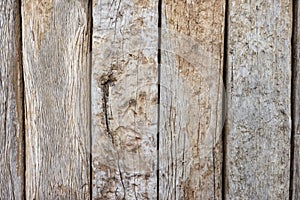 Brown wood background texture