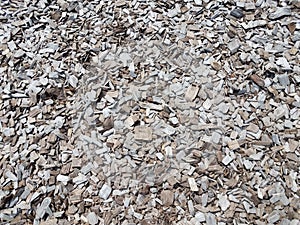 Brown wood chips or barkdust or mulch on the ground photo
