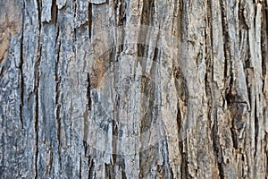 Brown Wood Hardwood Textures Images For Natural Backgrounds