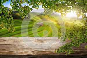 Brown wood table in summer farm green landscape.