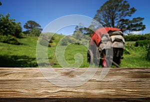 Brown wood table in summer farm green landscape