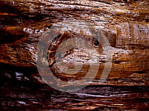 Brown wood texture. Abstract background, empty template