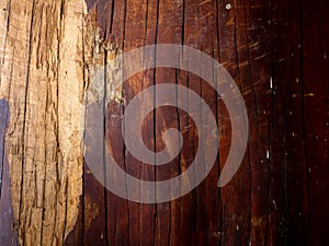 Brown wood texture. Abstract background, empty template