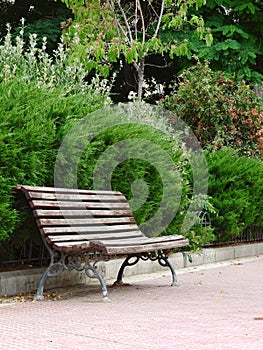 Brown wooden bench in green Trafalgar park downtown Madrid, Spain. Vertical photo