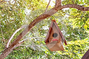 brown wooden birdhouse hanging from tree with natuur photo