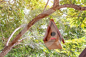brown wooden birdhouse hanging from tree with natuur