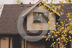 Brown wooden country house in autumn