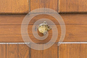 Brown wooden door cross pattern