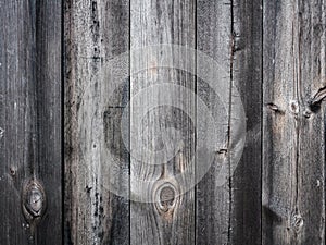 Brown wooden texture. wood background