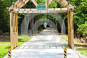 A brown wooden walk way to a smooth concrete footpath surrounded by lush green trees at Roswell Riverwalk Boardwalk