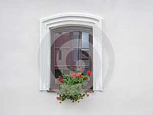 Brown wooden window with flowers