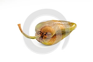 Brown wrinkly pepper isolated on white background. Raw damaged vegetable