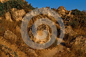 Brown yellow sandy stones, cliffs of Fiolent with dry grass and green bushes on Black Sea coast in light of sun.  South Crimea