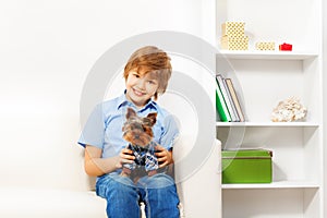 Brown Yorkshire Terrier with happy boy sitting