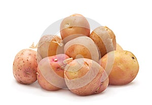 Brown young potato isolated