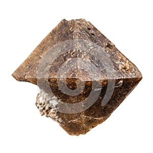 brown zircon crystal isolated on white