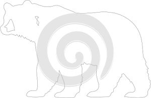 brownbear Outline Silhouette Generative Ai