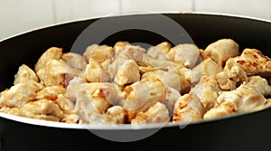 Browned chicken pieces