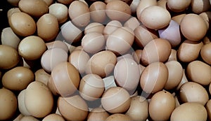 Browneggs