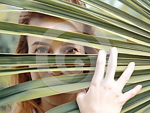 A browneyed girl looks through the leaves of a green palm branch. Closeup portrait