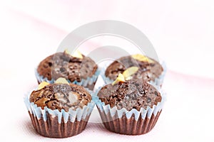 Brownie cup cake chocolate nut