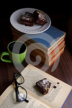 Brownie on an open book