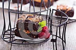 Brownies with peanut butter in a cage